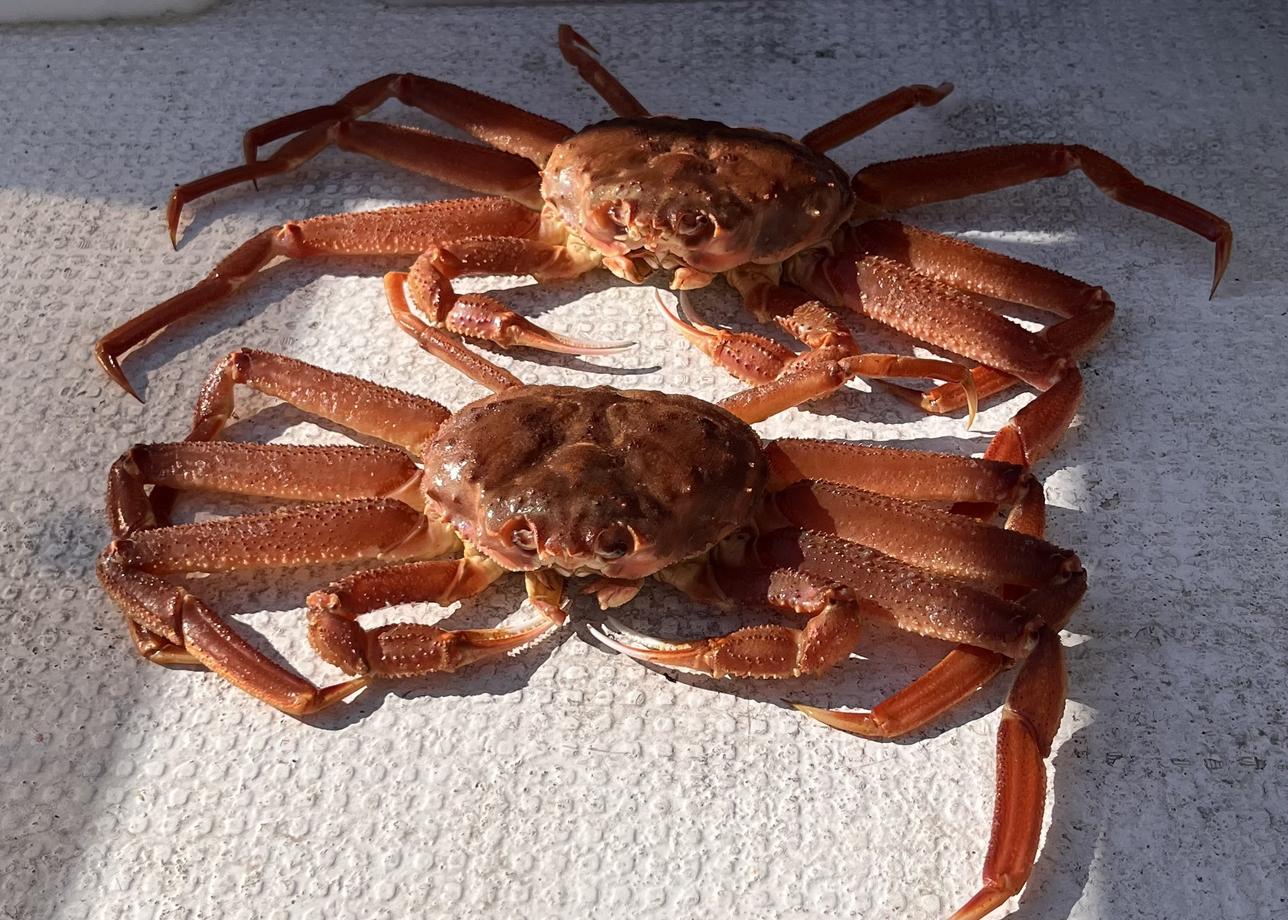 Это был крутой тур! Море впечатлений, эмоций, которые остаются в памяти на всю жизнь!