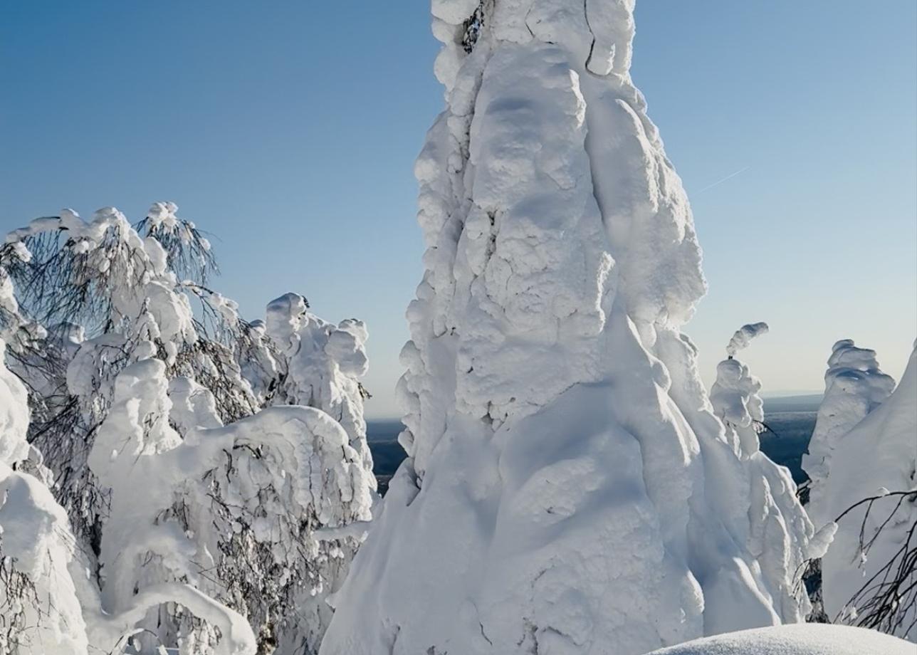 Программа насыщенная, интересная и взрослым и детям было чем заняться. Очень понравилась сопровождающий тур экскурсовод, молодая