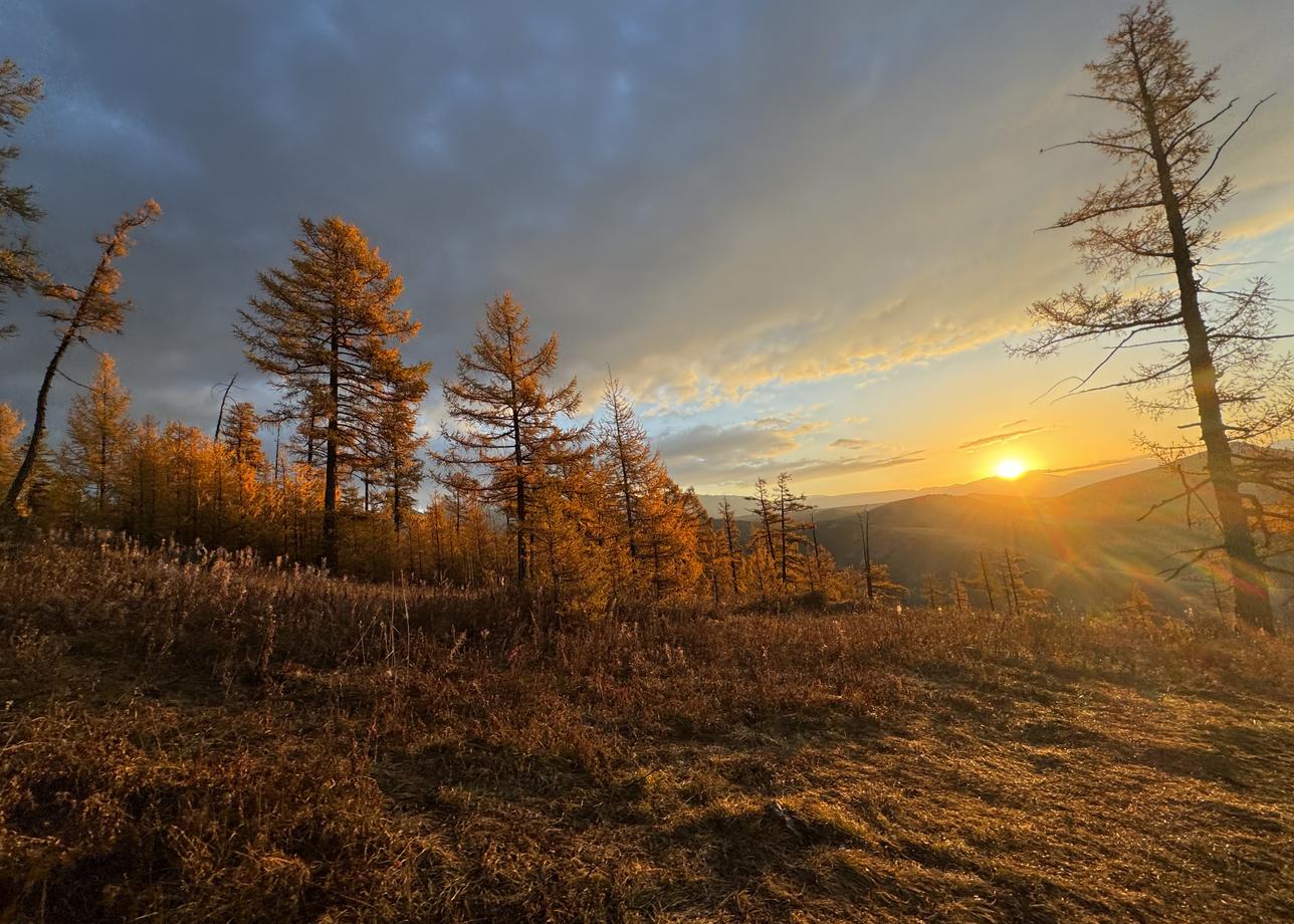 Лучшие.