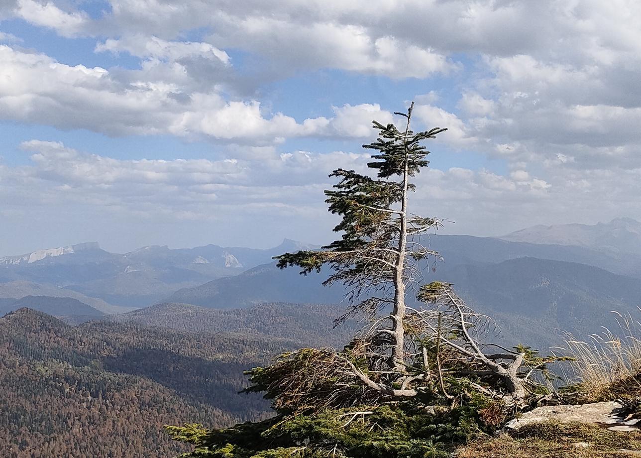 В &quot;Большую страну&quot; обращаемся уже не первый раз. Довольны, проблем не возникало никогда. Продолжайте в том же духе)))