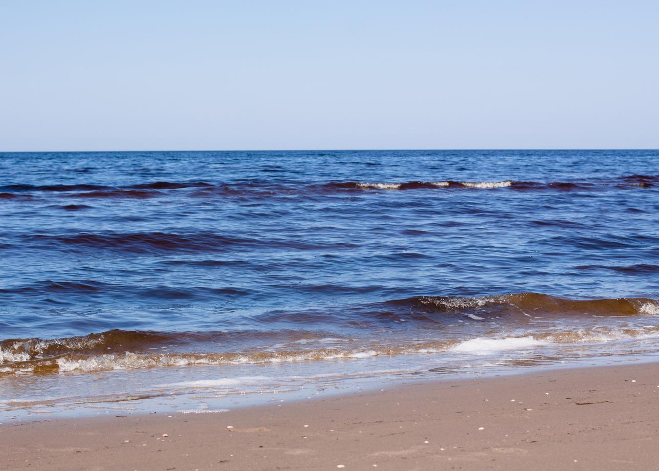 Белые ночи и Белое море в Архангельской области