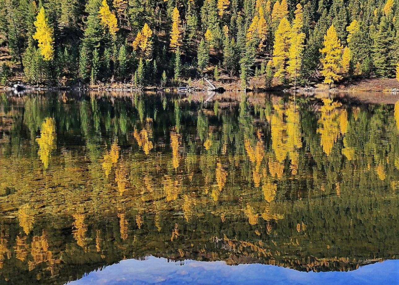 Алтай — больше, чем просто отдых. Это любовь с первого взгляда.