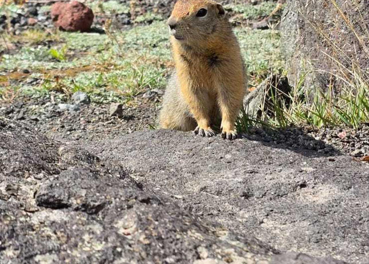 Ездили в тур с мамой, много впечатлений, как на другую планету попали, гиды и инструктора комфортные