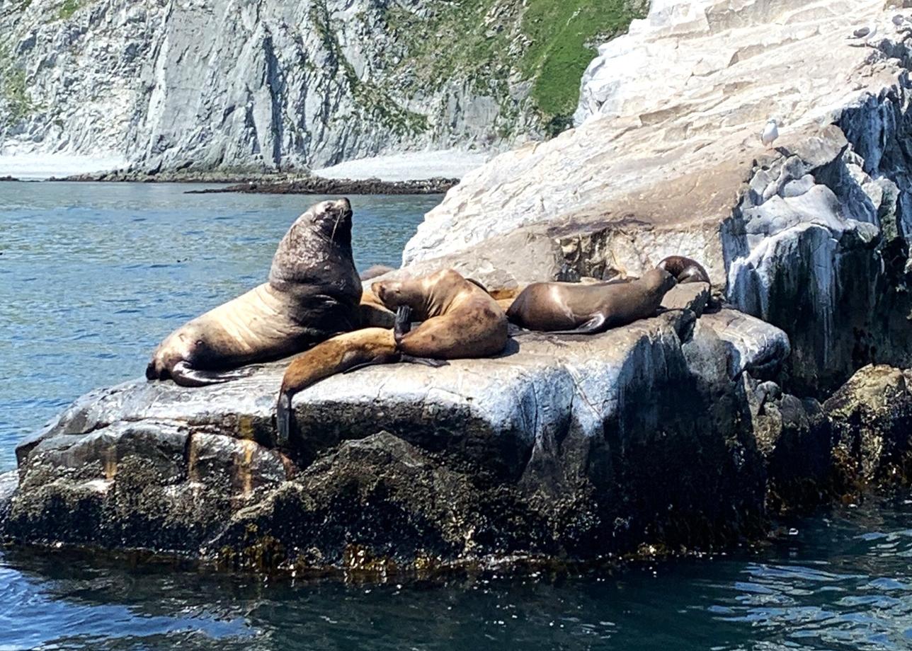 Хочу поделиться своими впечатлениями от тура «Спокойная Камчатка», в котором мы побывали с 12 по 19