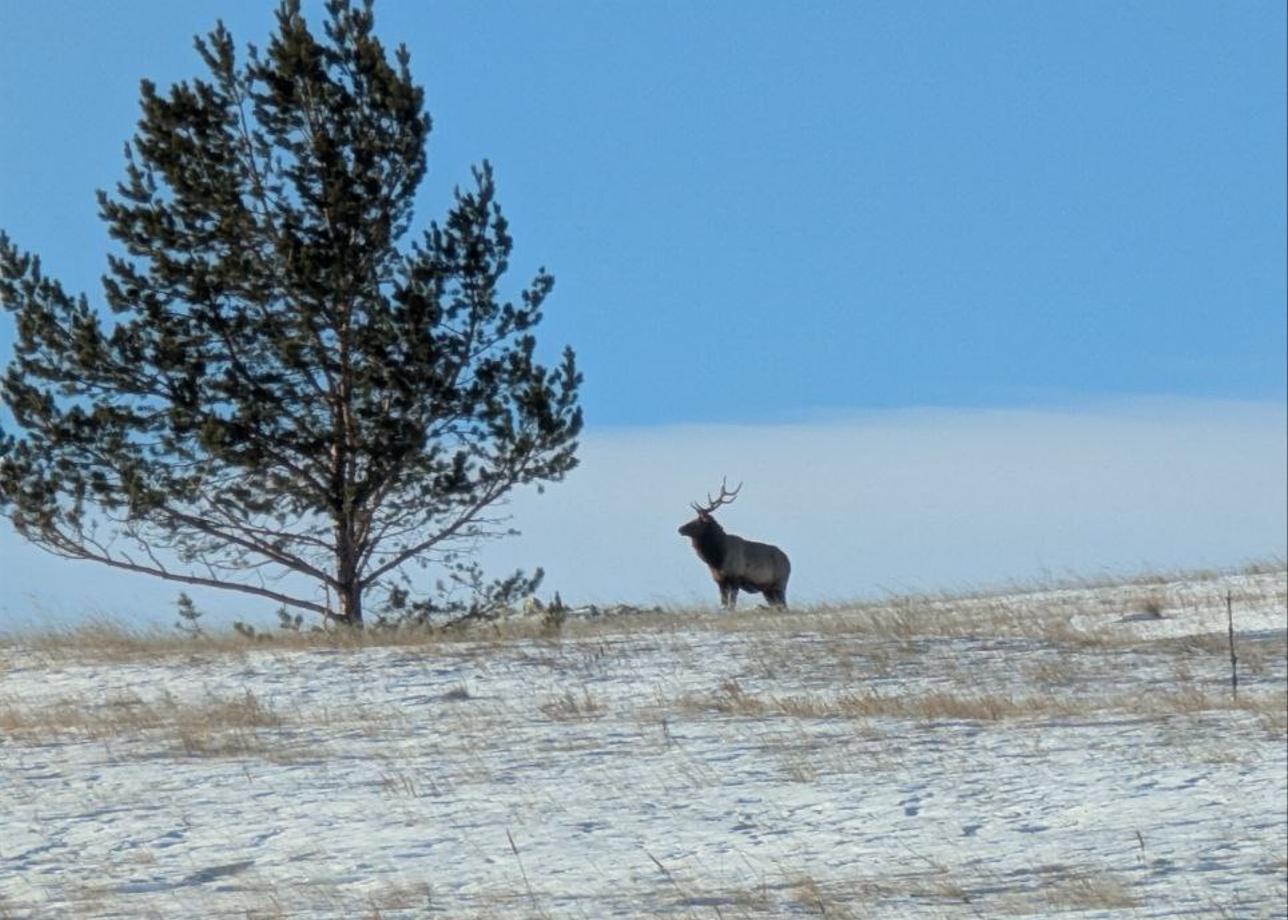 Тур с 3 по 7 января. Очень красиво и интересно. Шикарный Байкал! Немного смазала впечатление поездка
