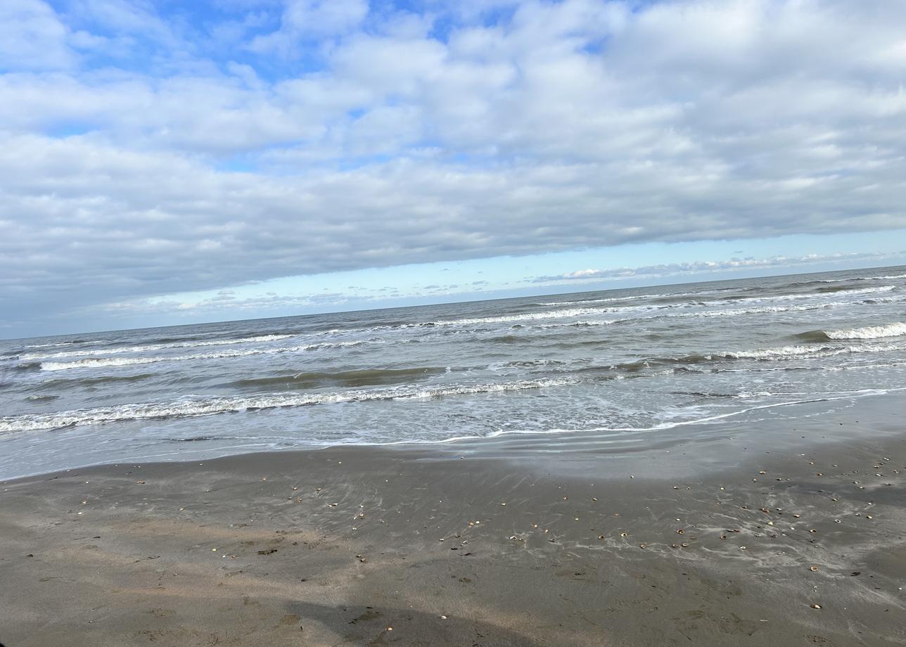 Отдыхали на Новый год (30.12.2025 г. - 03.01.2026 г.). Большое спасибо нашему гиду Мадине! Было очень