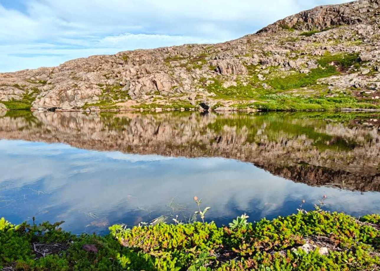 Всё было очень здорово! Это полный восторг! Организация, атмосфера, очень насыщенная программа! Видели морских животных тюленей