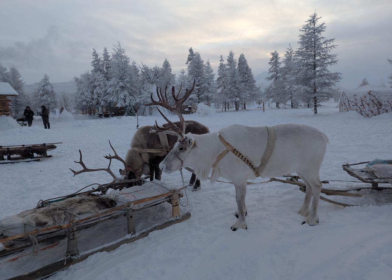 Тур замечательный, шикарная природа Якутии. Море впечатлений и позитивных эмоций. Зимняя сказка))