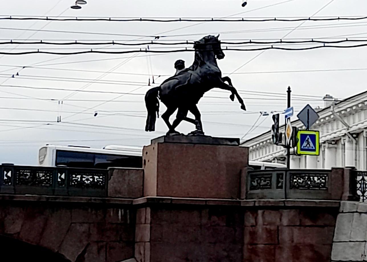 Нам очень понравился пятидневный тур в Санкт-Петербург. Посмотрели все главные достопримечательности города, дающие представления об истории