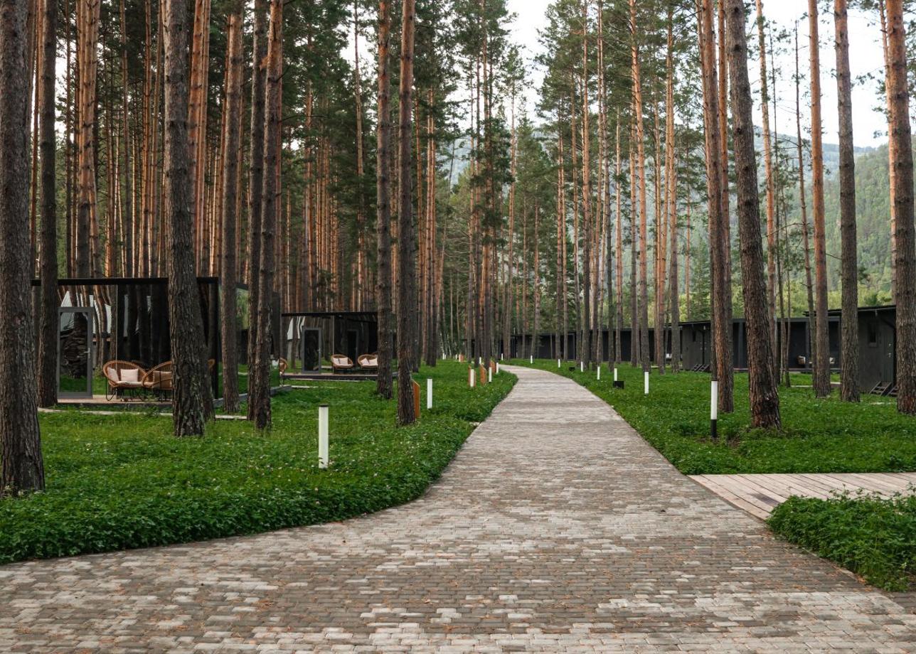 База отдыха «PINEWOOD»