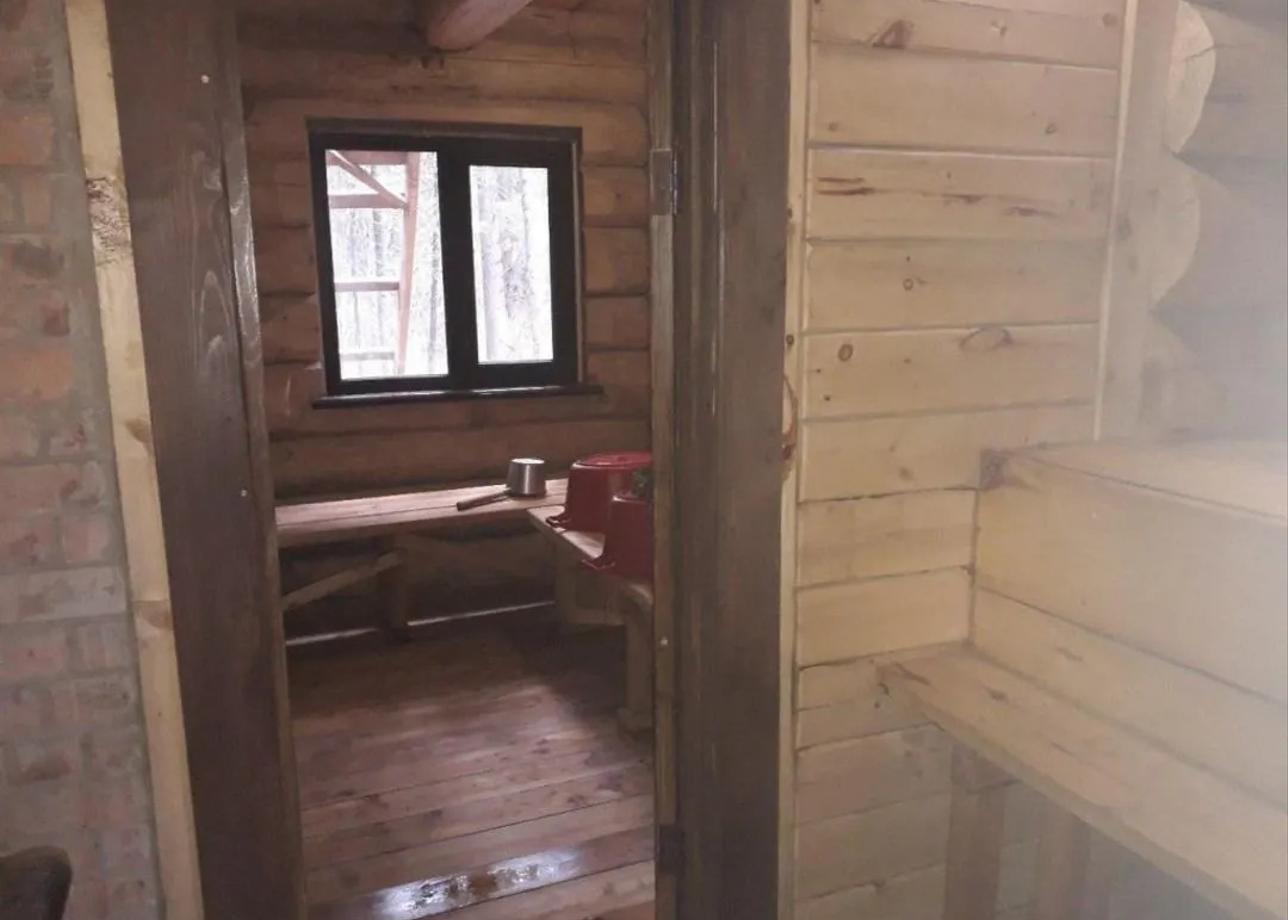 Снежный барс