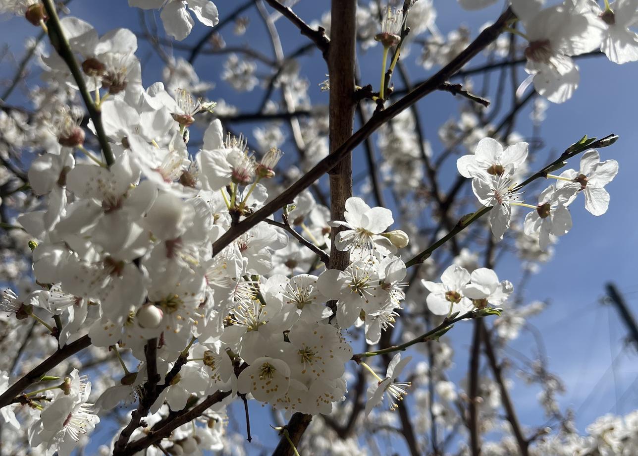 Прекрасный тур, интересные экскурсии и впечатляющие локации! Впечатлений вагон и полный восторг!