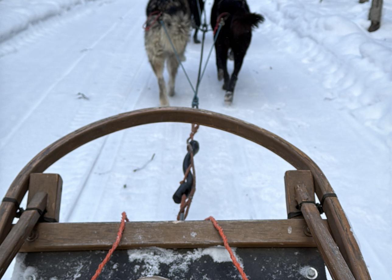 С Большой Страной я съездила в тур «Жемчужное ожерелье зимней Карелии» и мне очень понравился тур!)