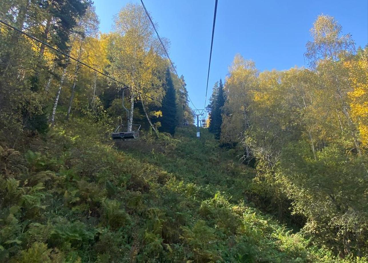 На высшем уровне!