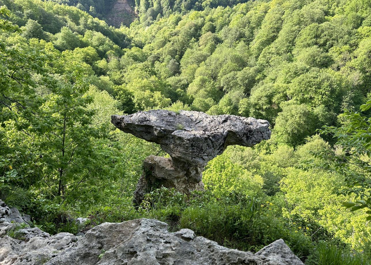 Все отлично организовано, в аэропорту встретили, все экскурсии по расписанию, никаких накладок. Две экскурсии в день
