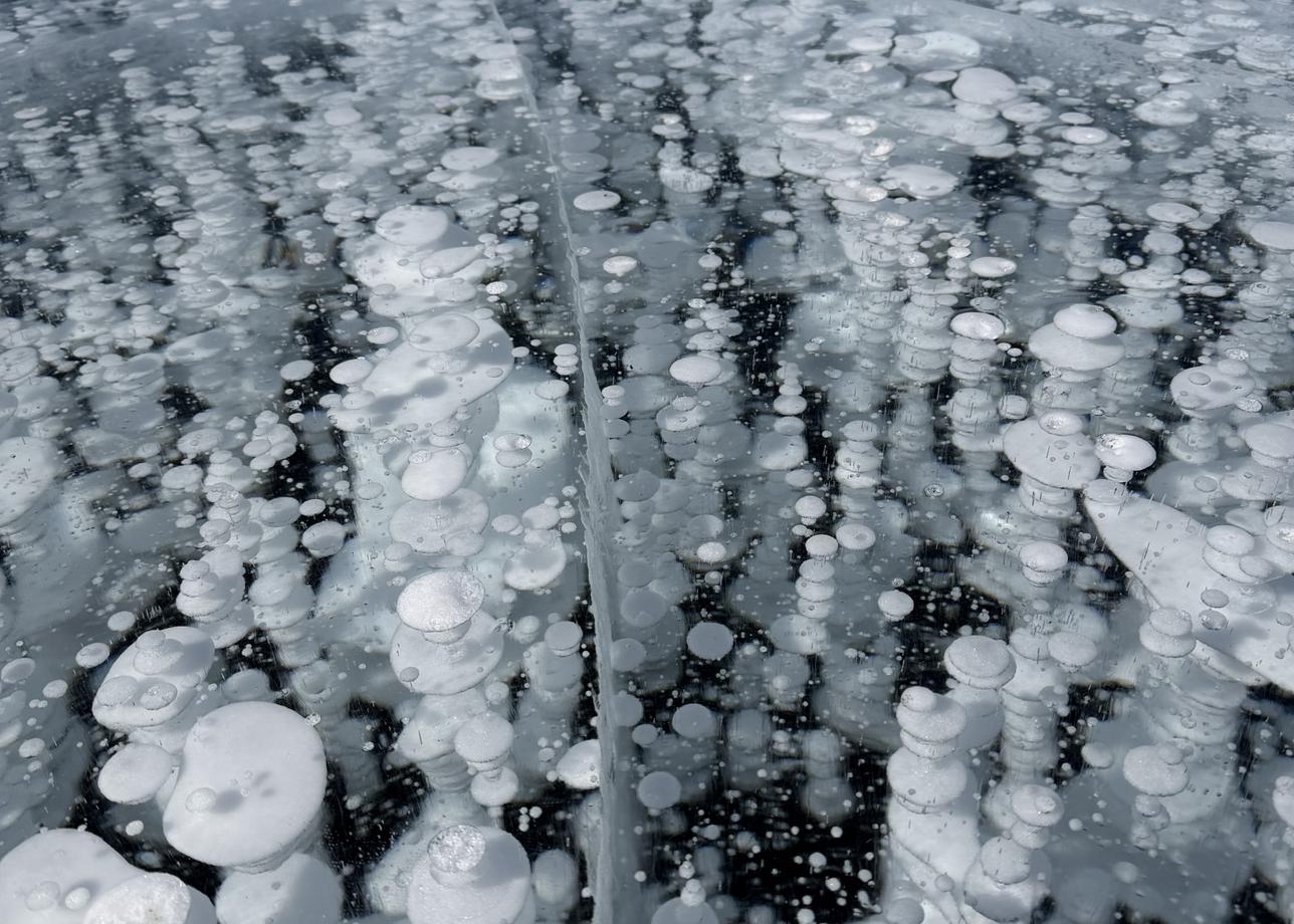 Добрый день! Хочу выразить огромную благодарность за супер тур по Байкалу! Уровень организации, расположение, программа, питание