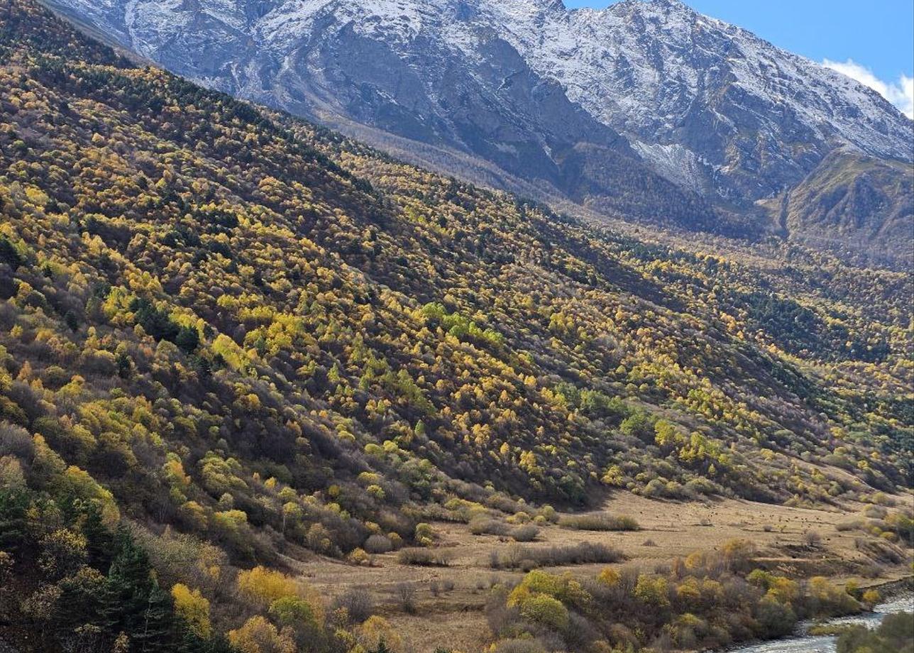 Это было потрясающее приключение! Красота Северной Осетии, гор Кавказа, ледников и горных рек. Внимательный и профессиональный