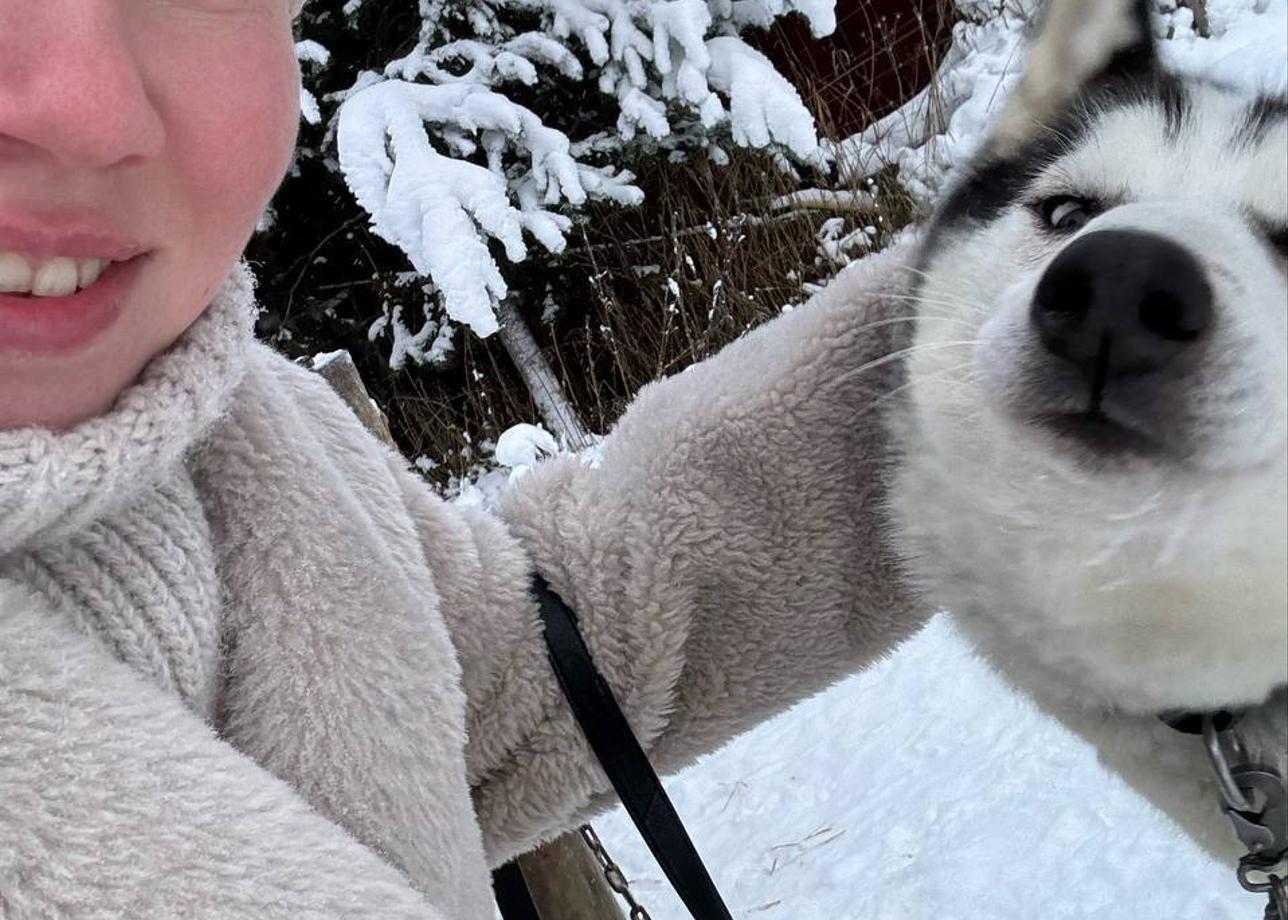 Очень понравился тур! Как за 3 дня увидеть основное в Карелии. А езда на упряжке с