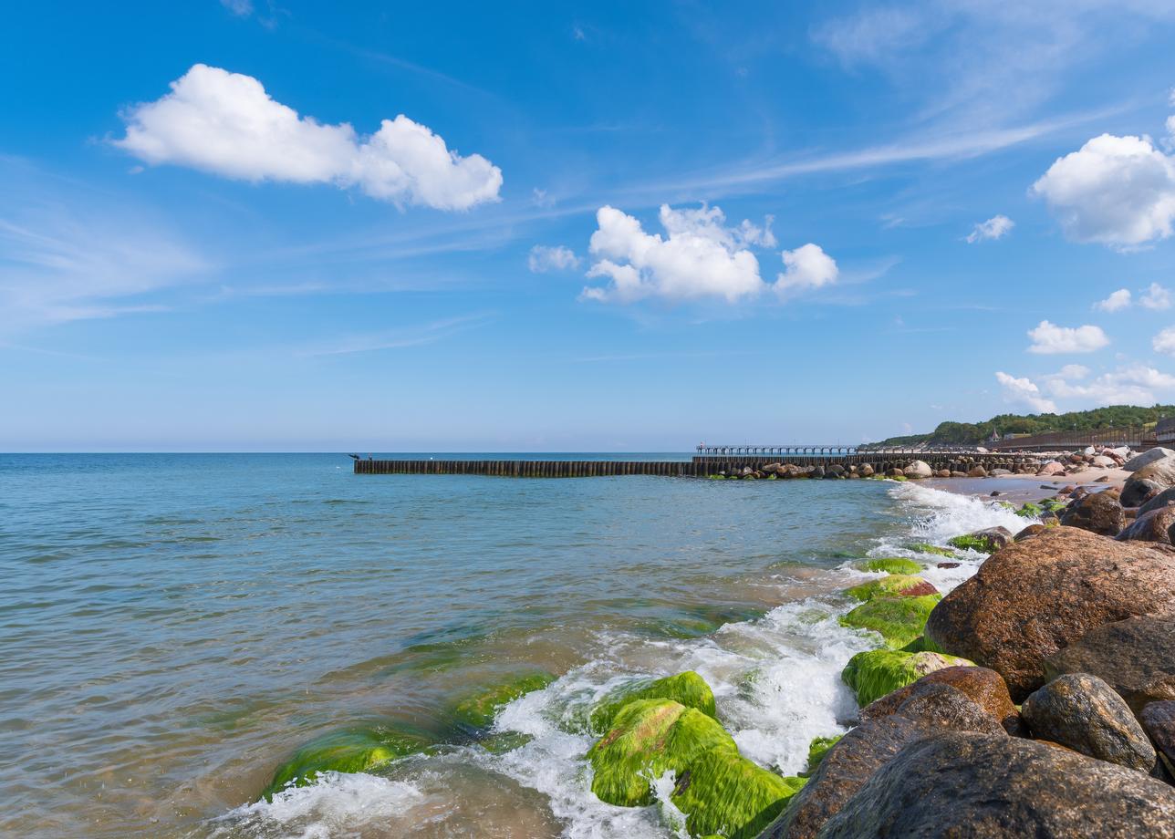 Янтарное кольцо. Экскурсионный тур по Калининградской области