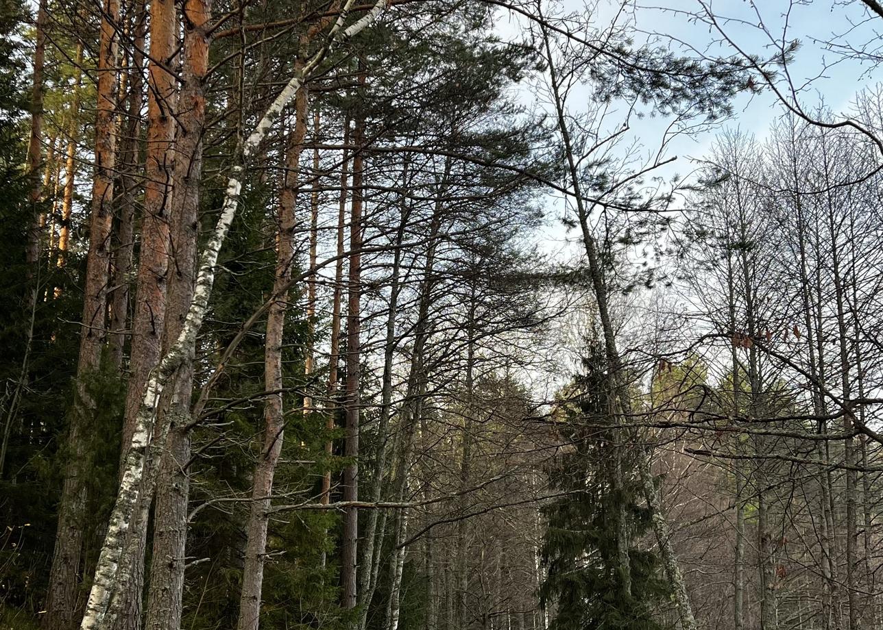 Прекрасно организованно путешествие, с учётом индивидуальных пожеланий!