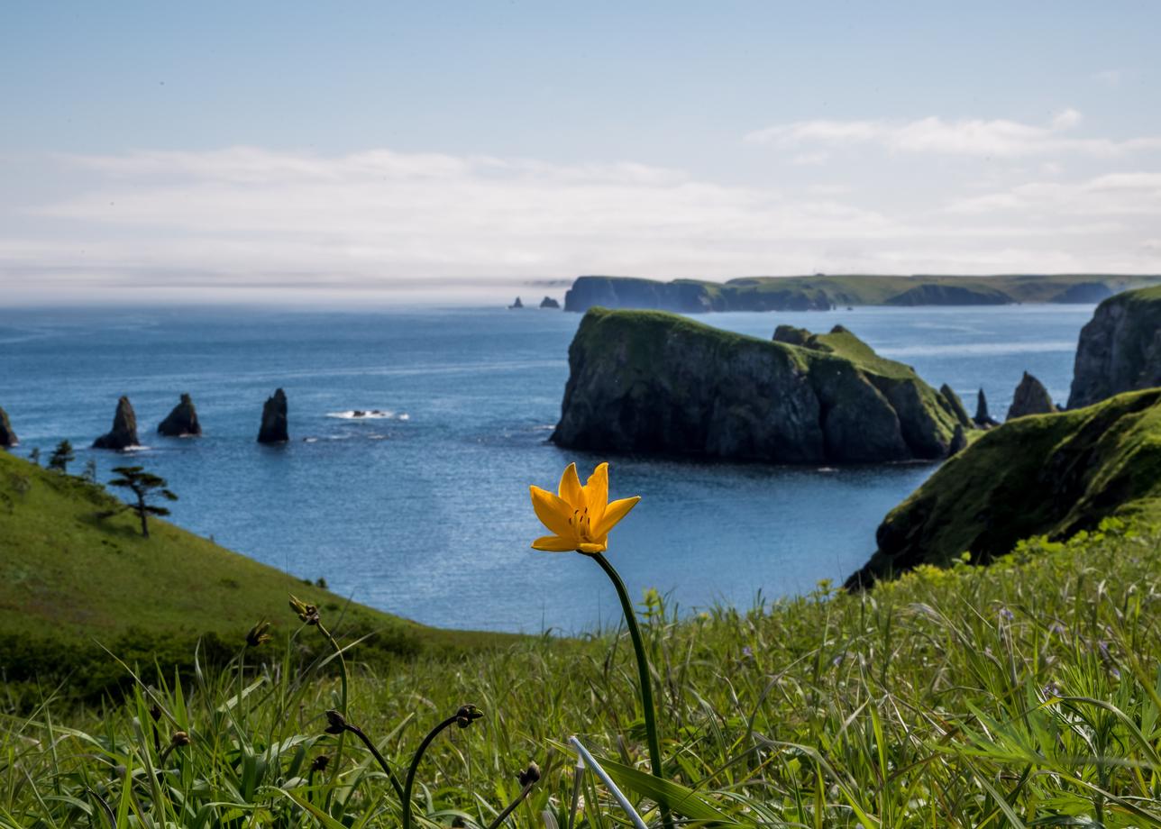 Кунашир и Шикотан. Тур на 10 дней