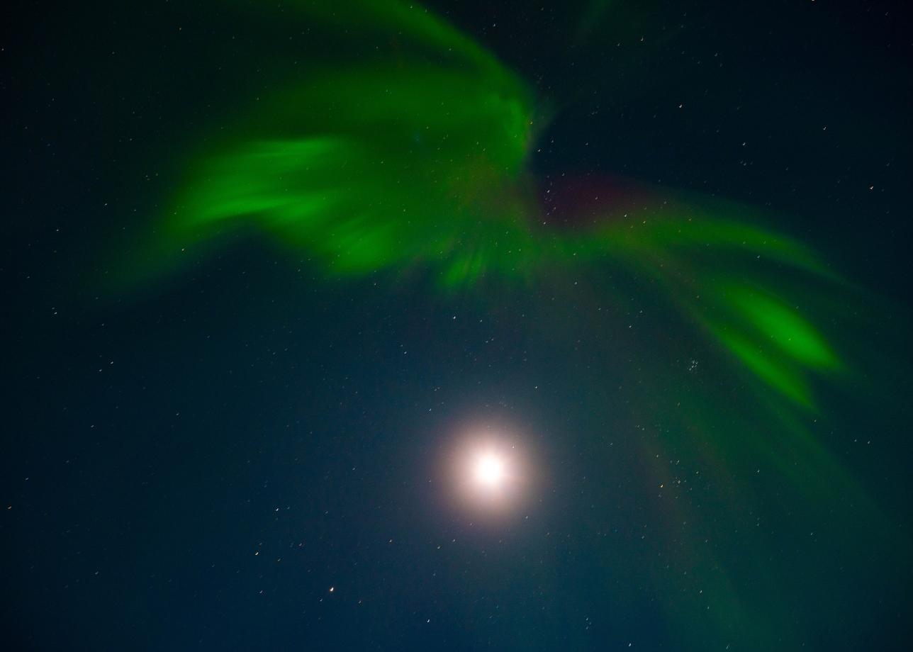 Отличный насыщенные тур, огромное спасибо!