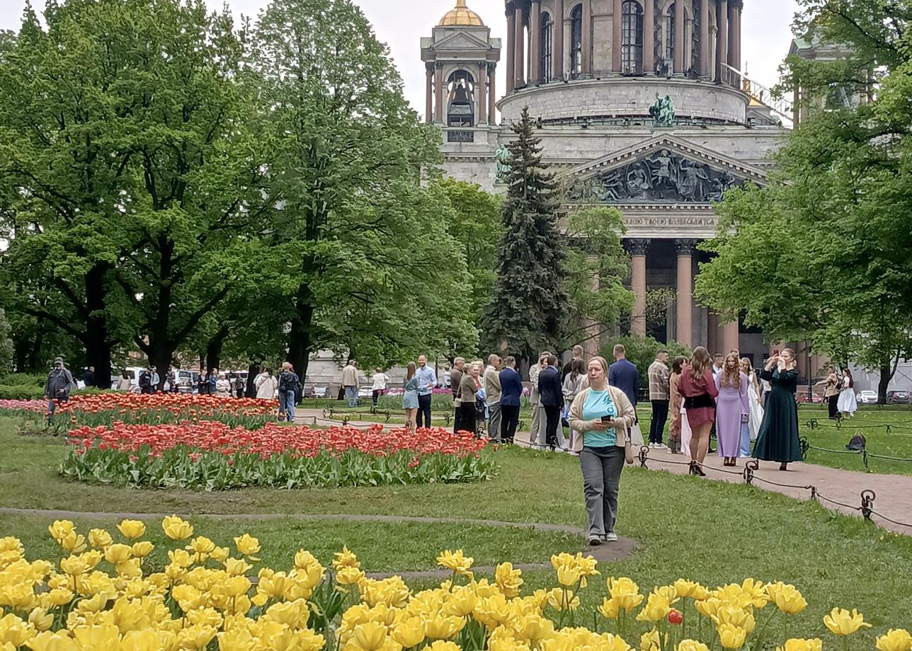 Незабываемая интересная поездка в Санкт-Петербург! Самое главное, хорошие экскурсоводы! А также хорошая подборка отелей, доступные цены,