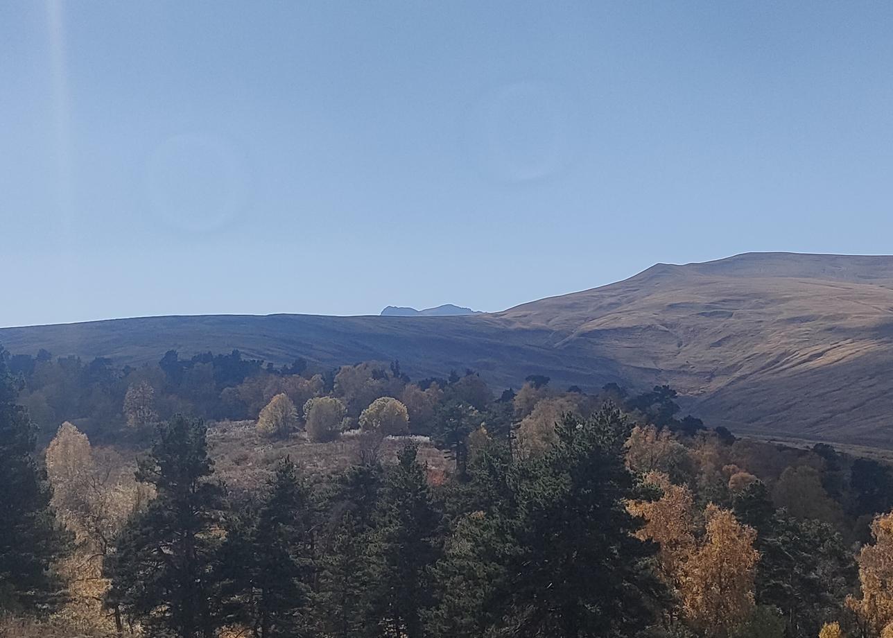 В &quot;Большую страну&quot; обращаемся уже не первый раз. Довольны, проблем не возникало никогда. Продолжайте в том же духе)))