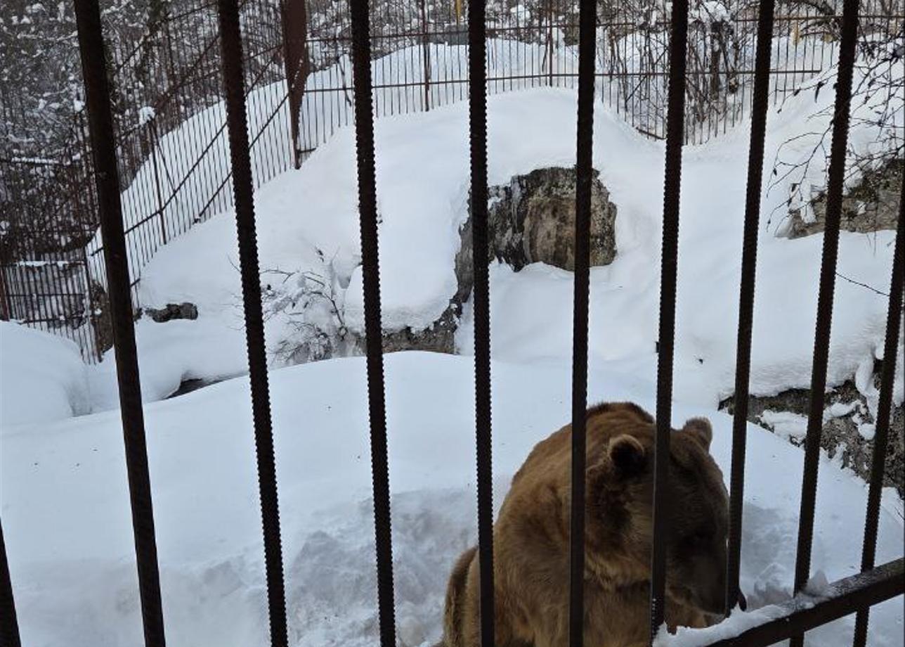 Все было просто супер, произошел форс-мажор, было так много снега