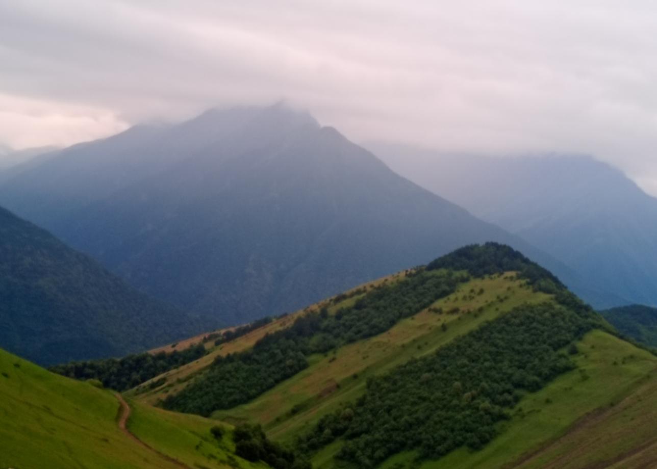 Четкая организация, внимательность к каждому гостю