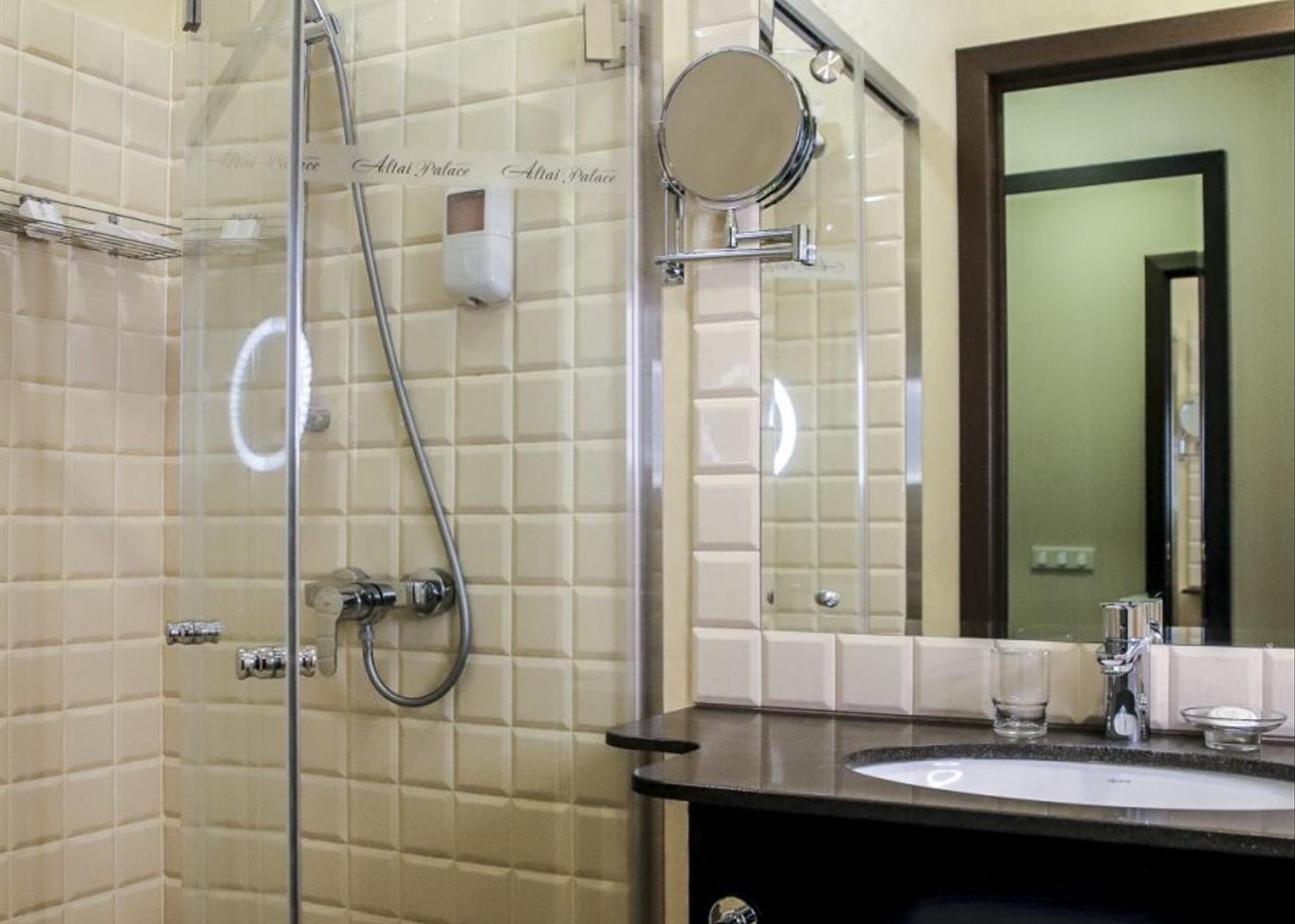 Отель Altai Palace