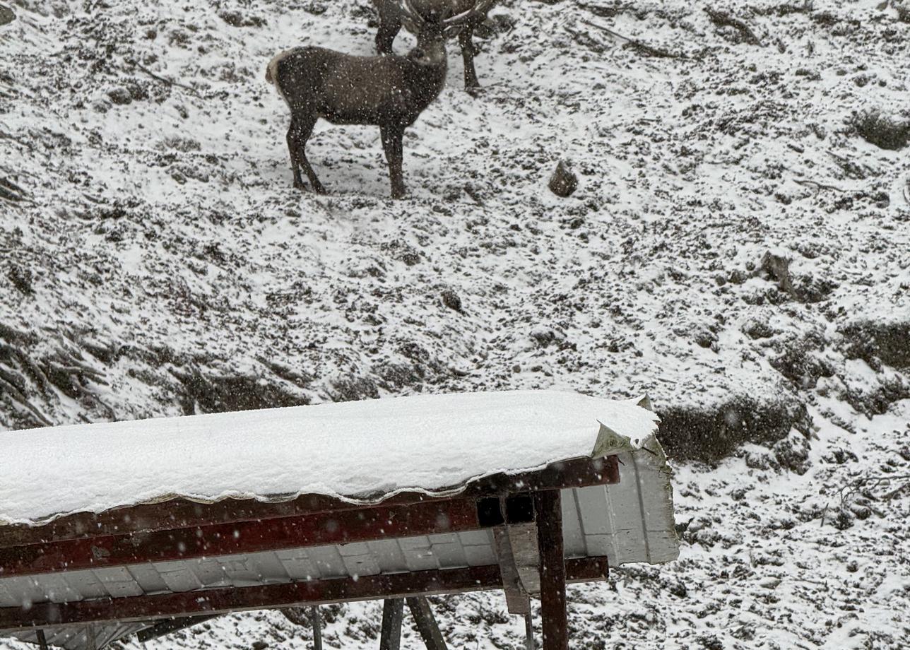 По программе тур хороший, но в реальности как повезет!