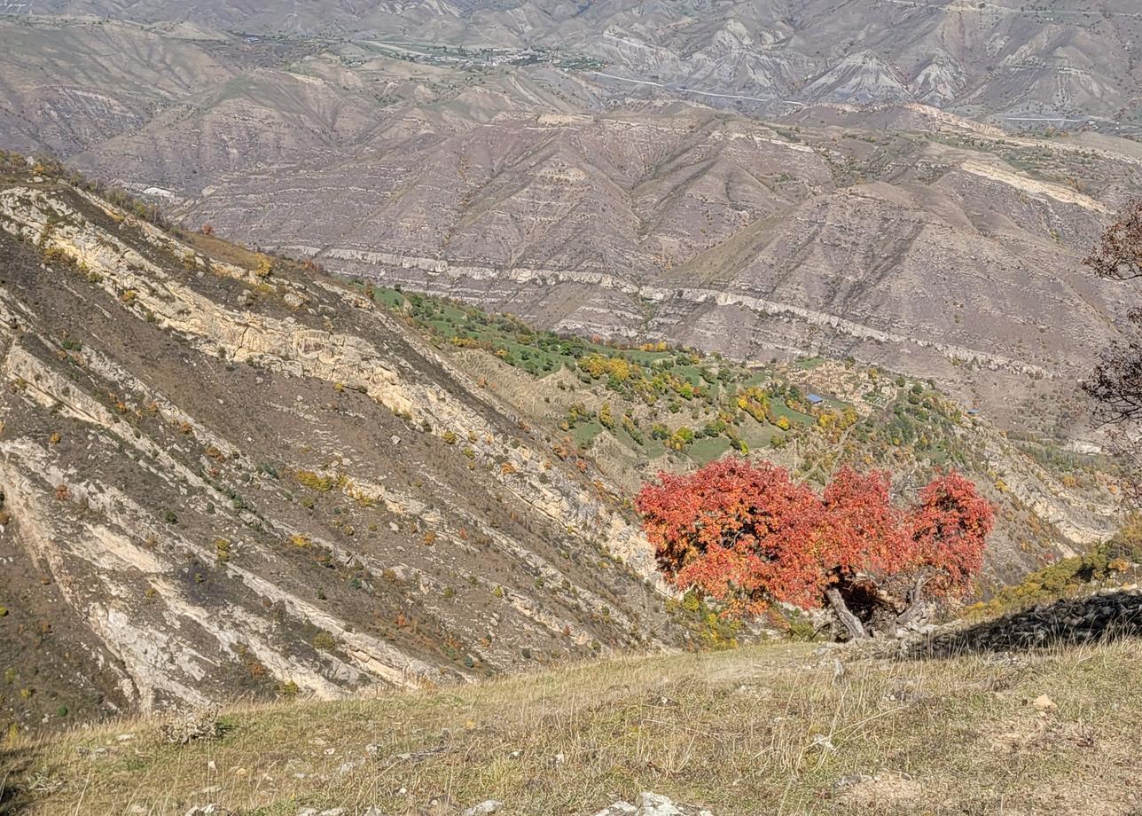 Потрясающая природа, душевные люди. Спасибо гиду Гамзату и водителю Тимуру!