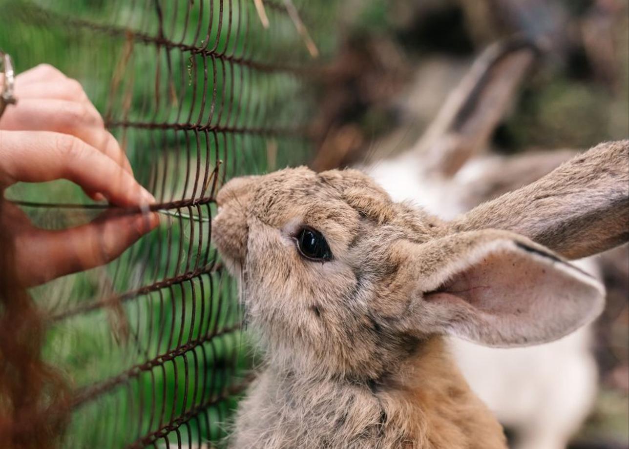 Туристский оздоровительный комплекс «Таежник»