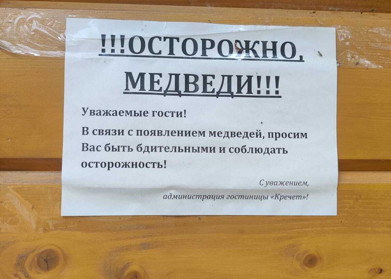 Впервые побывали на Камчатке. Этот тур немного раскрыл полуостров. Советую людям не сильно подготовленным для активного