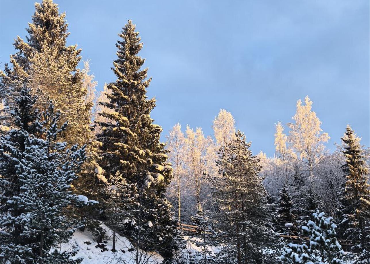 Спасибо огромное за замечательный тур в Зимнюю Карелию! Мы очарованы. Путешествие прекрасное, все организовано очень хорошо