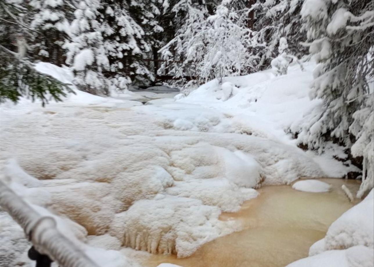 Очень впечатлил тур "Весёлое Рождество в Карелии". Всё продумано до мелочей. Шикарная гостиница, вкусные завтраки. Очаровала