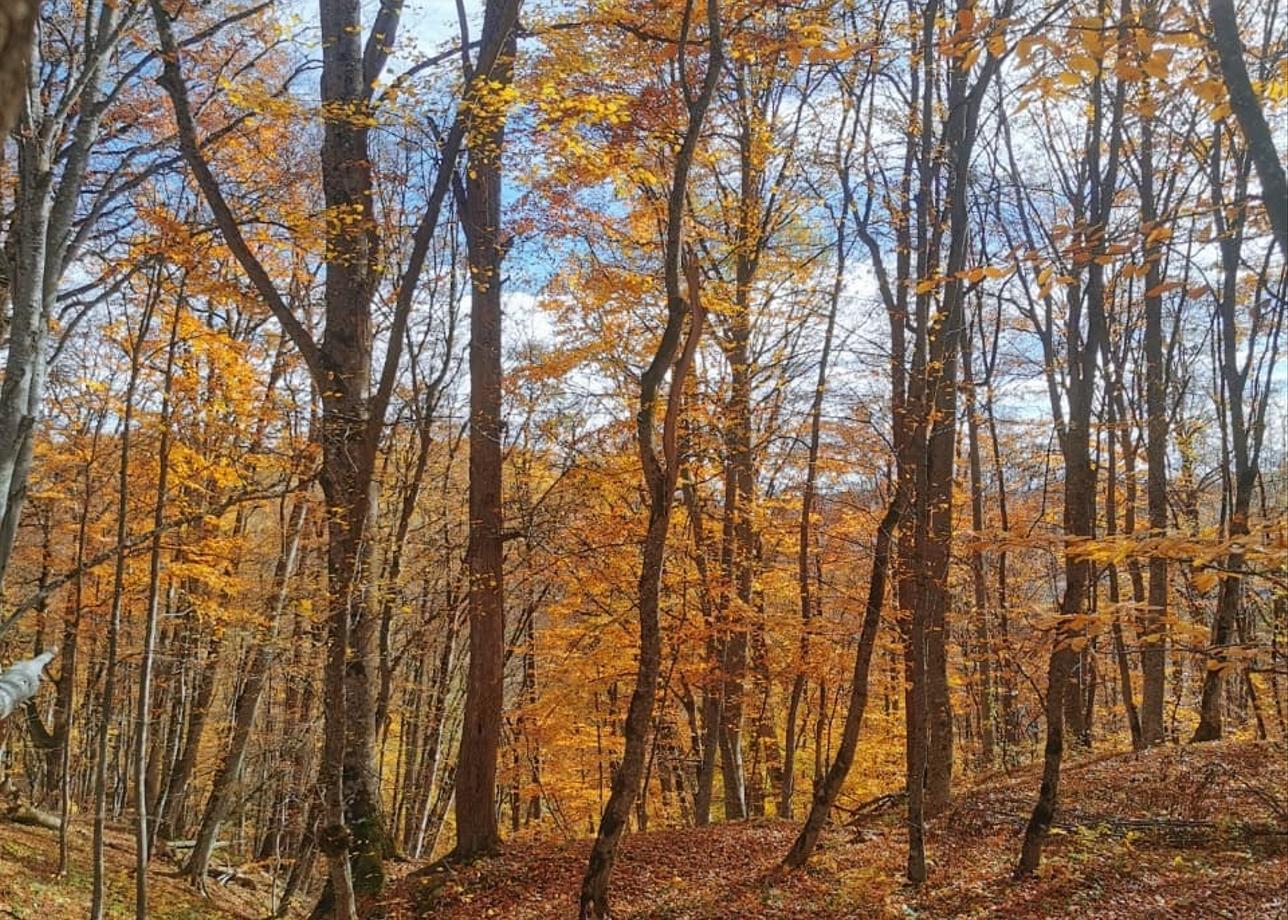 Были в туре с детьми на каникулах (с 26.10 по 01.11.2025)