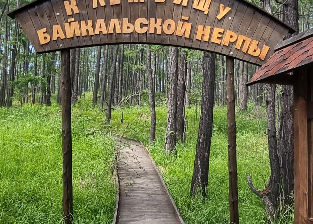 Была в туре "Байкальские приключения" в период с 19 по 23 июля 2026 года. Мне все