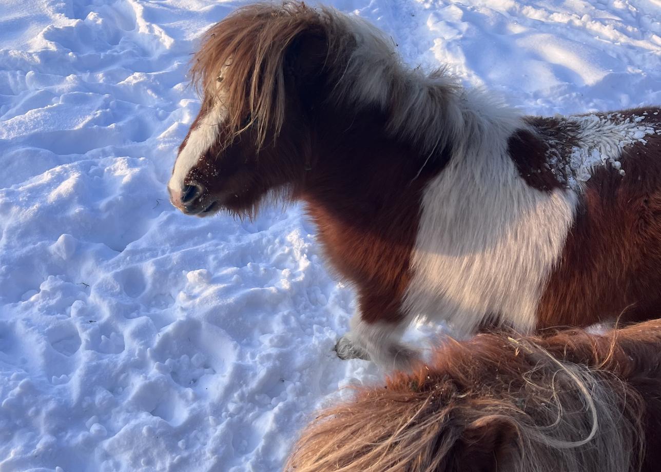 Прекрасный новогодний тур. Рекомендую к посещению! ☺️🎄☀️🥰