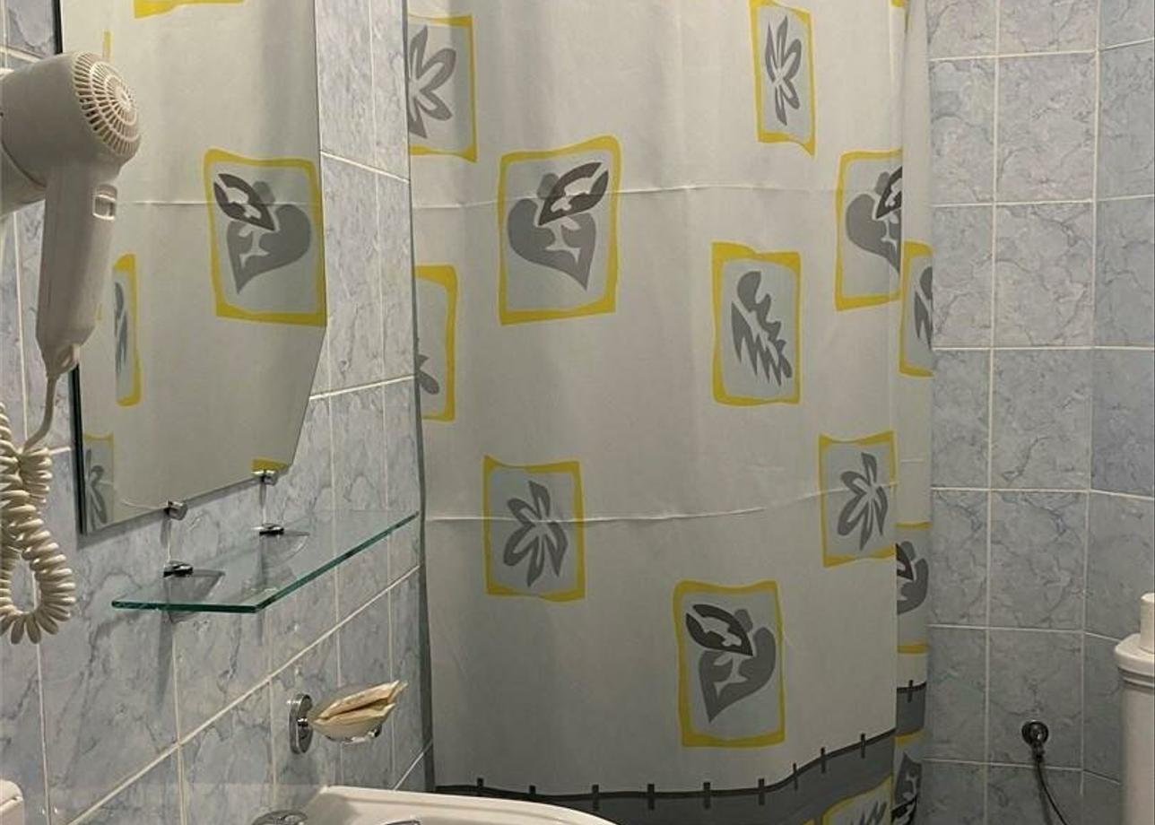 Снежный барс