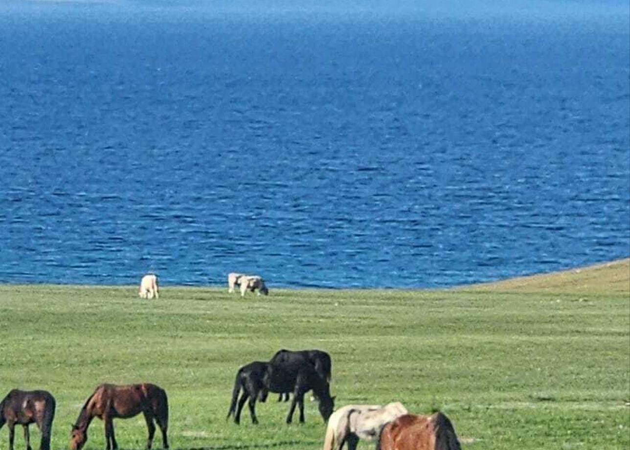 Спасибо огромное!!! Организация и организаторы на высоте. Особенно Катя, водитель Олег и водители с острова Ольхон!
