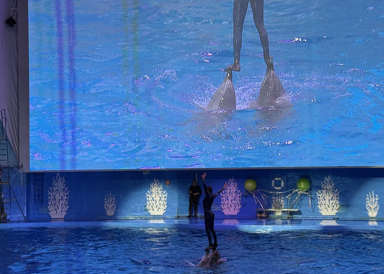 Я очень рада, что выбрала тур с посещением не только Владивостока, но и Находки, так как этот город меня тоже поразил своими пляжами)))