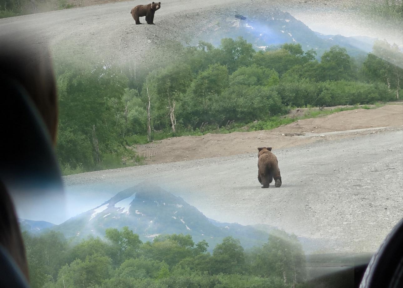 Начнем с того, что нужно принять тот факт, что Камчатка - сложный в плане погоды регион,