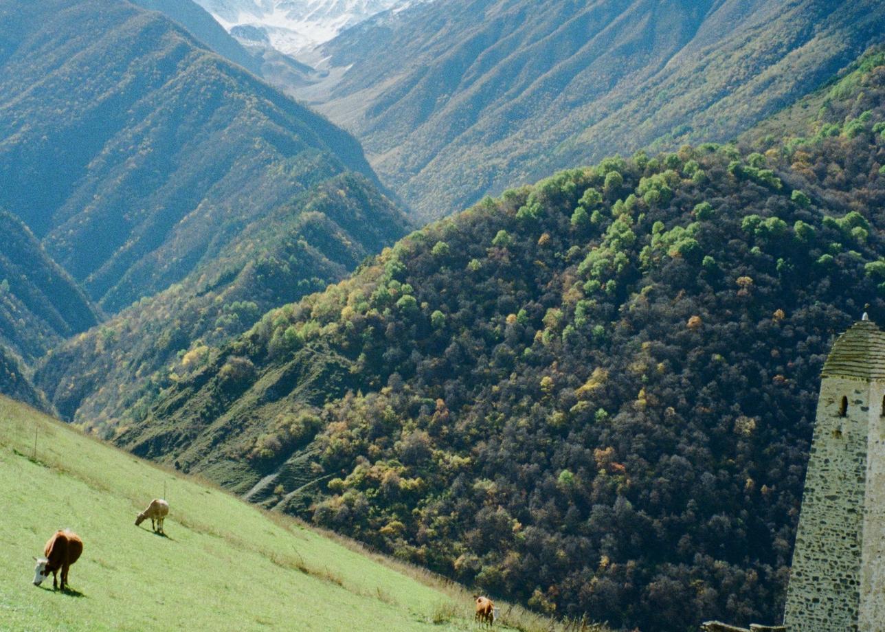 Тур шикарный. Все понравилось, завораживающие виды, добродушная атмосфера, гостеприимство.