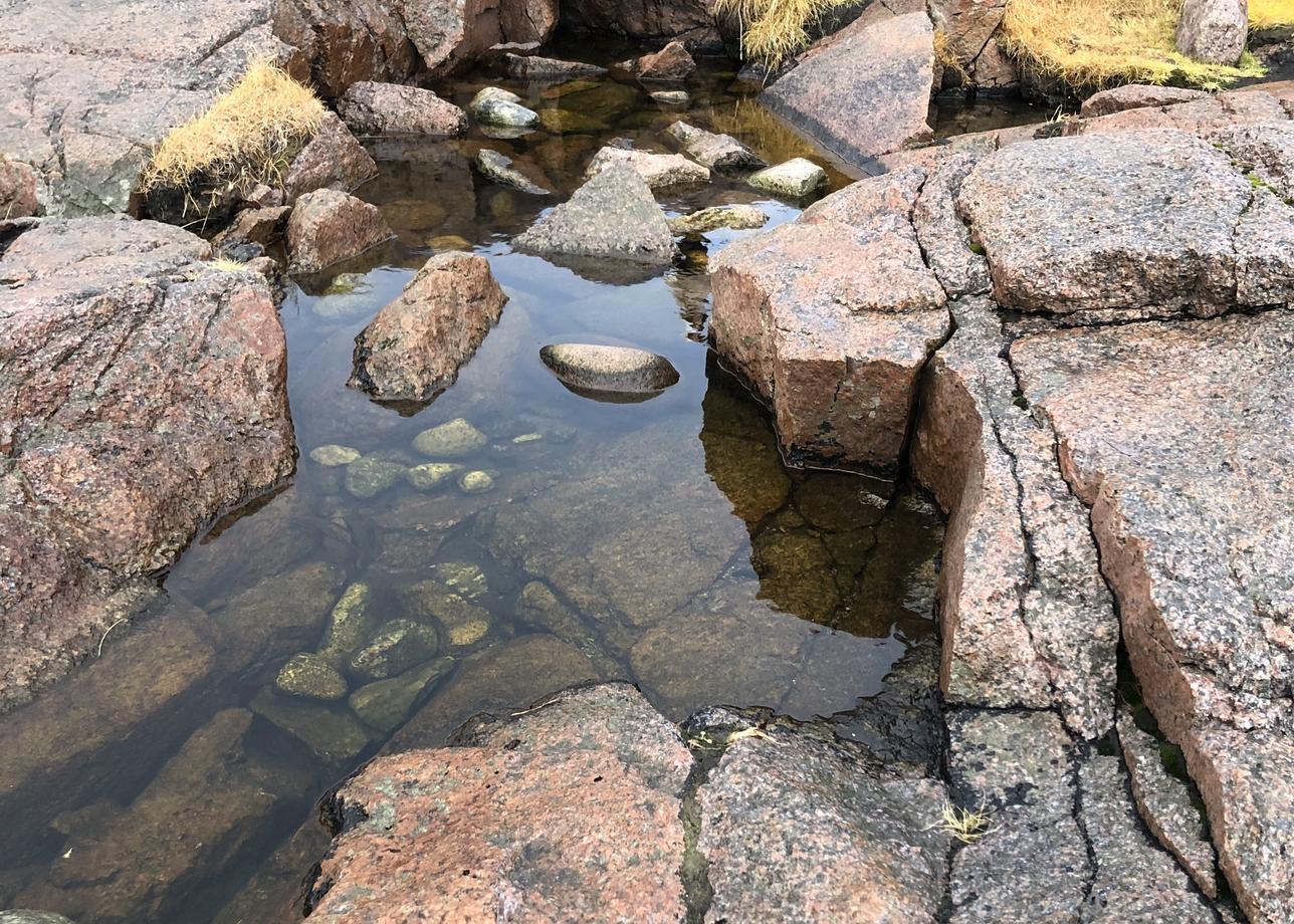 Интересный тур, природа севера впечатляет, Баренцево море бескрайнее. Довольно плотно были заполнены все три дня. Гид