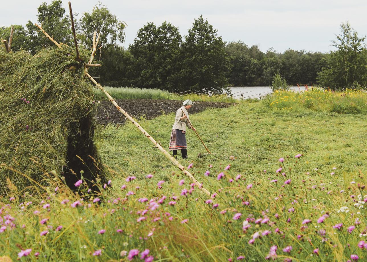 Тур "Золотое кольцо Карелии" превзошел все ожидания! Всё было организовано на высочайшем уровне: работа гидов, транспорт,