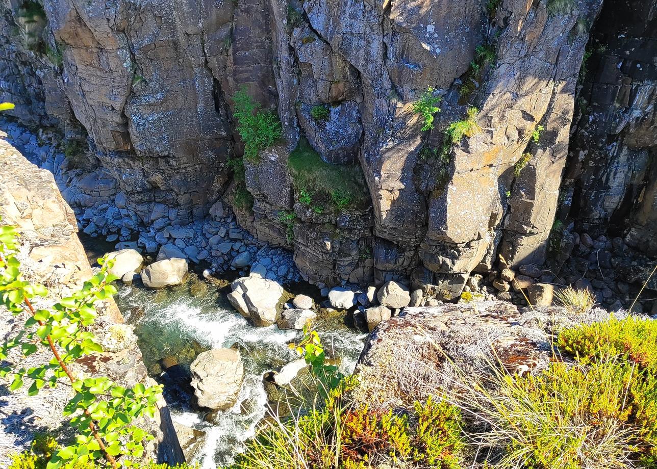 Красноярский край прекрасен, особенно плато Путорана. Круиз по Енисею тоже очень понравился, к тому же с