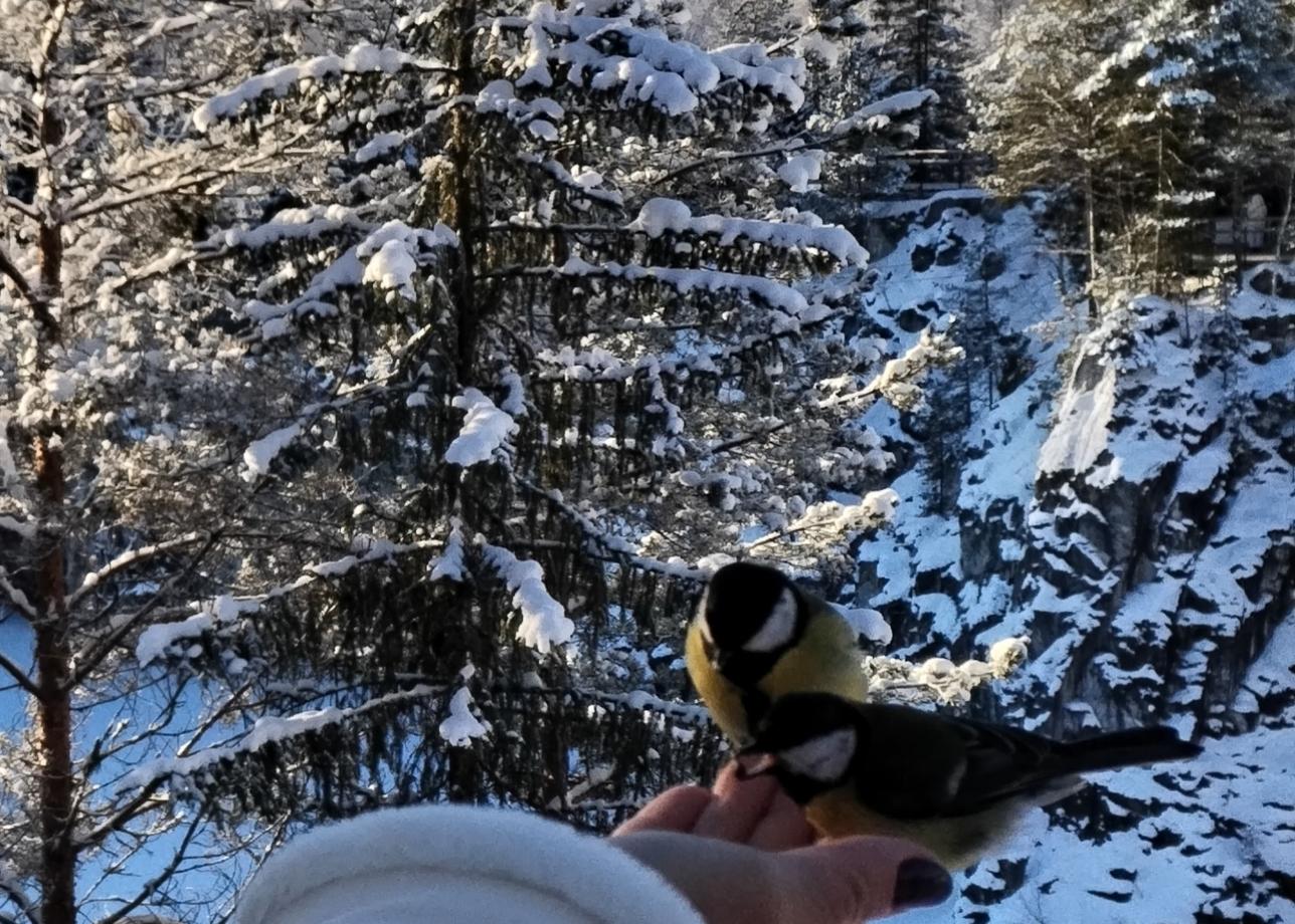 Три дня в Карелии пролетели как одно мгновение, но оставили море впечатлений. Поразила красота местных пейзажей