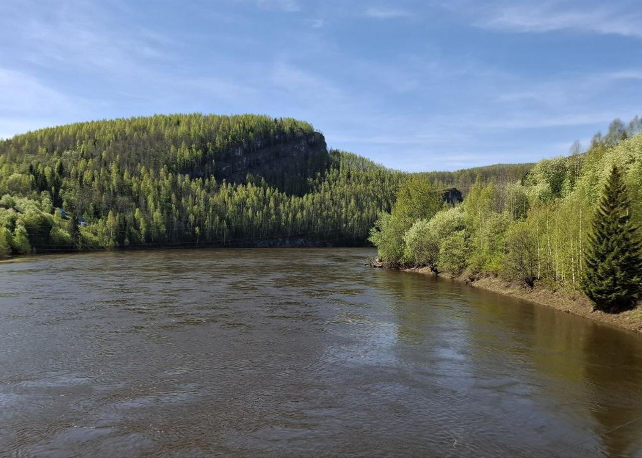 Здравствуйте! Туром очень довольны. Прекрасный гид, водитель и группа. Интересная и насыщенная программа, очень красивые места